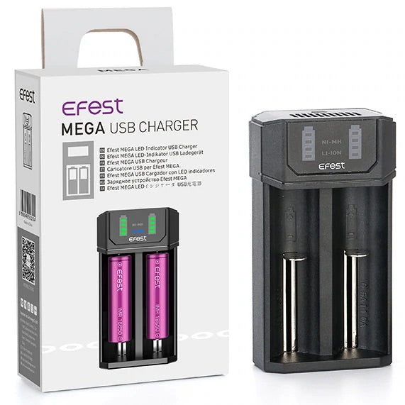 EFEST Battery Charger