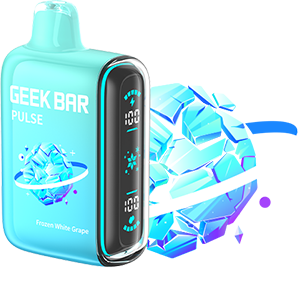 GEEK BAR Pulse Rechargeable Disposable [15,000]