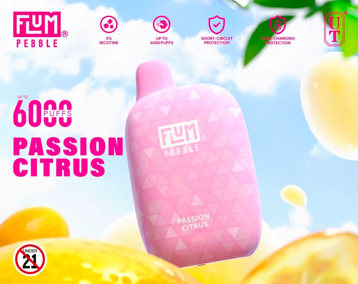 FLUM Pebble Rechargeable Disposable [6000]