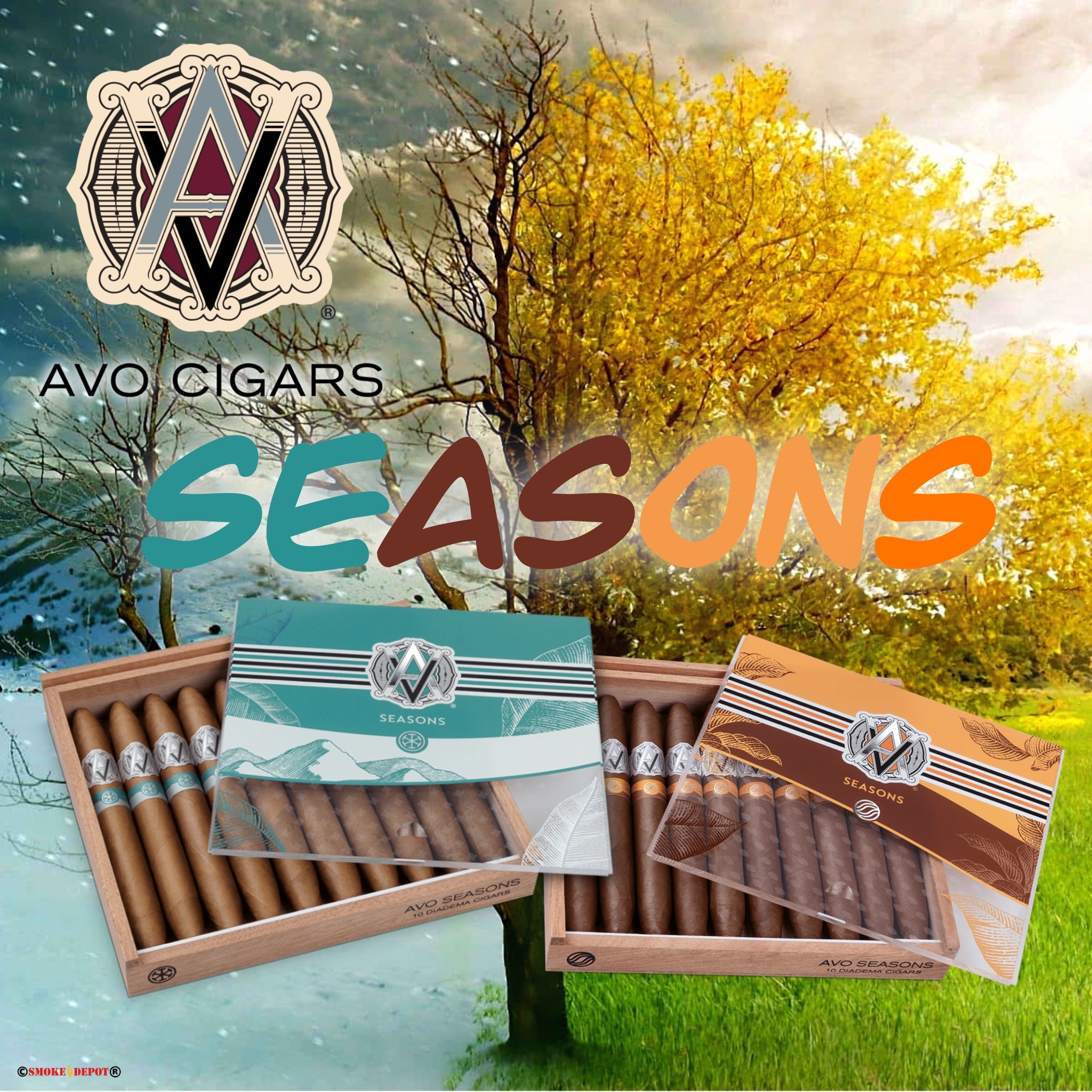AVO UVEZIAN Seasons [Limited Edition]