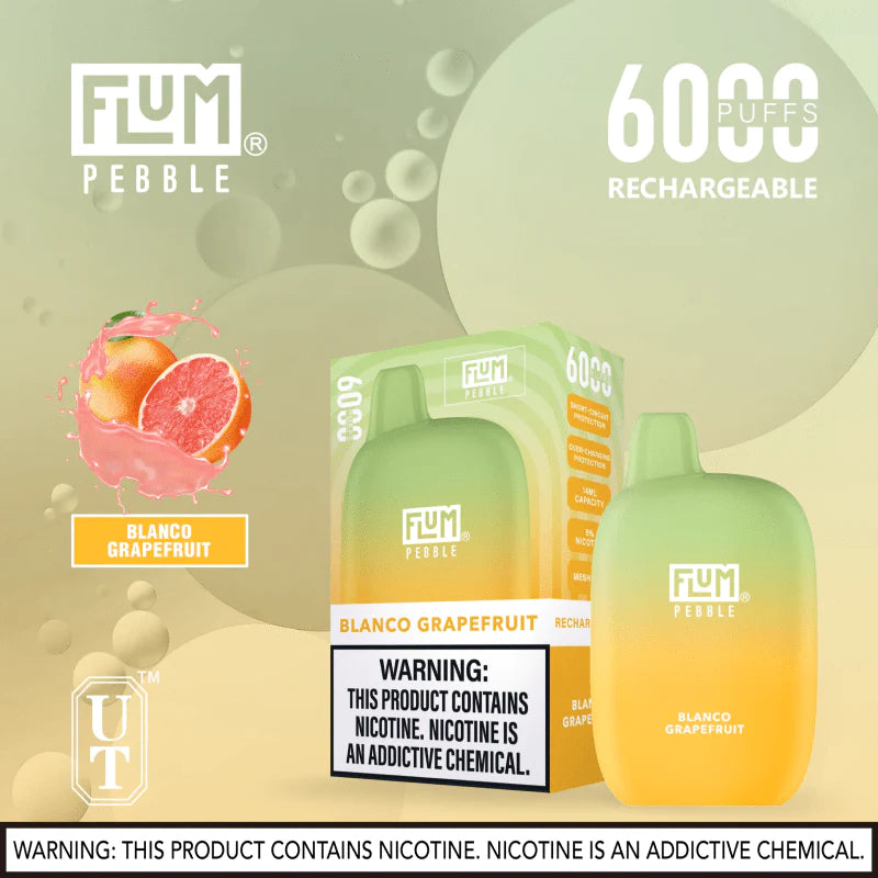 FLUM Pebble Rechargeable Disposable [6000]