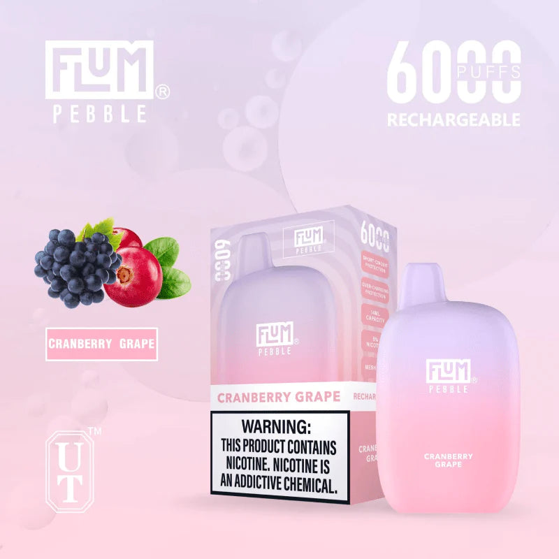 FLUM Pebble Rechargeable Disposable [6000]