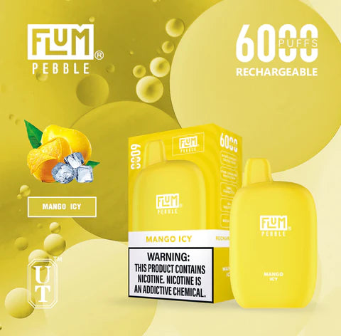 FLUM Pebble Rechargeable Disposable [6000]