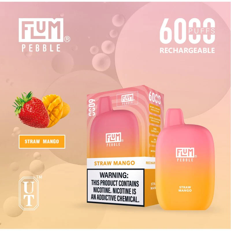 FLUM Pebble Rechargeable Disposable [6000]