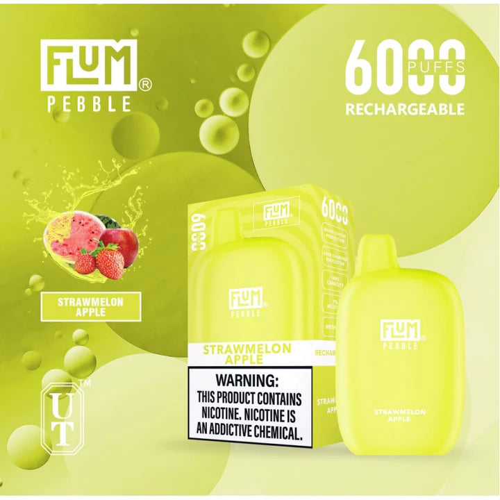 FLUM Pebble Rechargeable Disposable [6000]