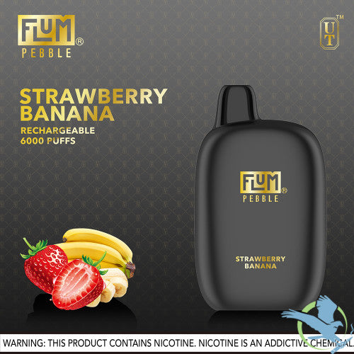 FLUM Pebble Rechargeable Disposable [6000]