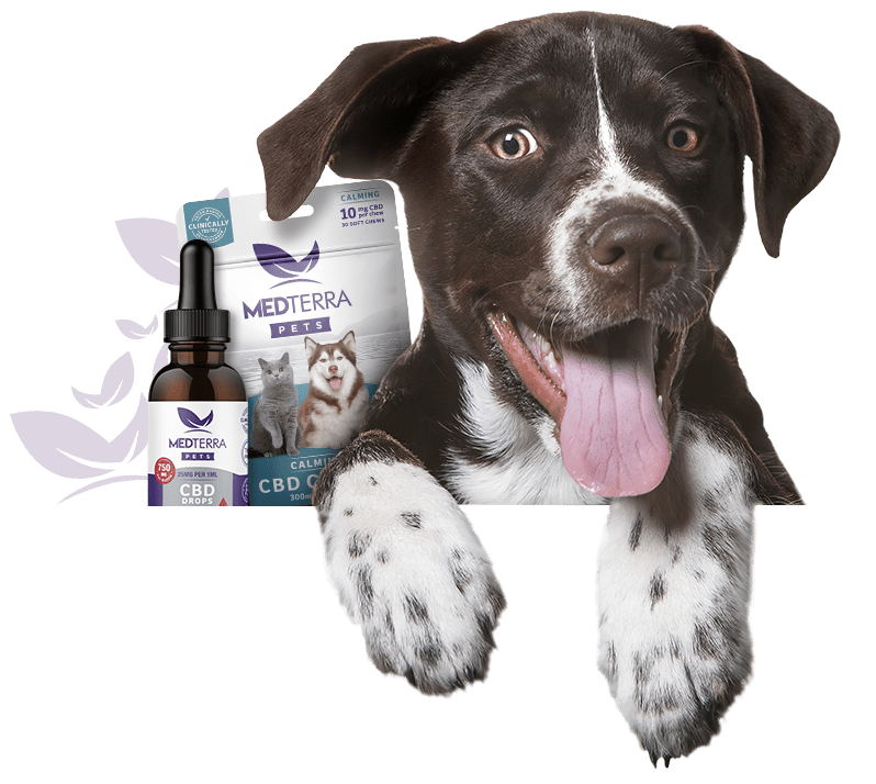 MEDTERRA CBD Pets