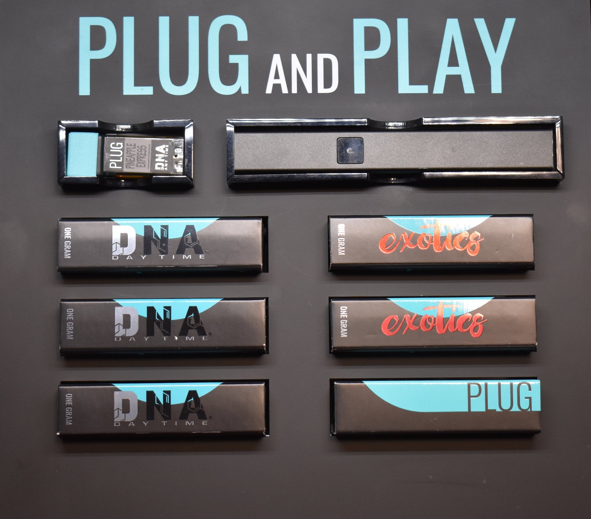 PLUG AND PLAY Battery Kit